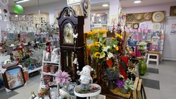 dscf0480.jpg