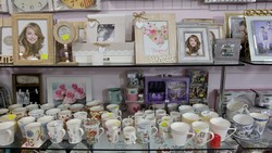 dscf0481.jpg