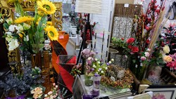 dscf0487.jpg