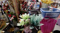 dscf0488.jpg